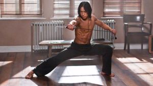 Ninja Assassin's poster