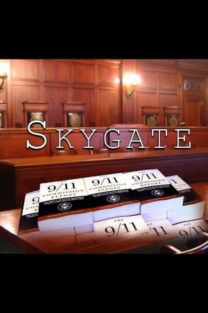 Skygate 911's poster