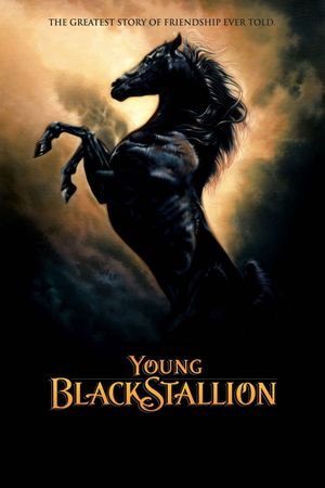 The Young Black Stallion's poster