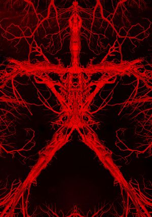 Blair Witch's poster