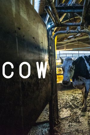 Cow's poster