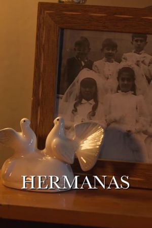 Hermanas's poster image