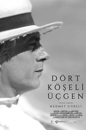 Dört Köseli Üçgen's poster