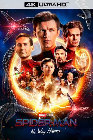 Spider-Man: No Way Home's poster