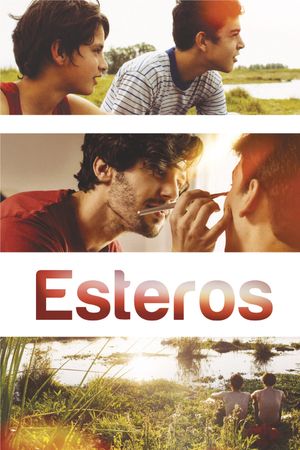 Esteros's poster