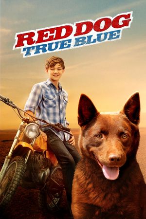 Red Dog: True Blue's poster