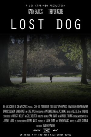 Lost Dog's poster