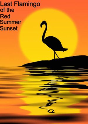 Last Flamingo of the Red Summer Sunset's poster