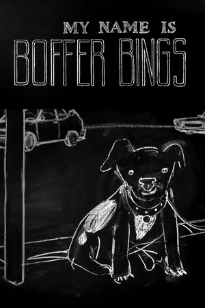 My Name Is Boffer Bings's poster image