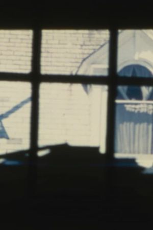 Marilyn's Window's poster image