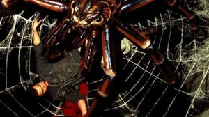 Spiders's poster
