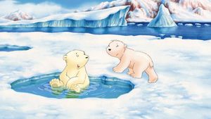 The Little Polar Bear's poster