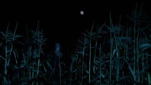The Town That Dreaded Sundown's poster