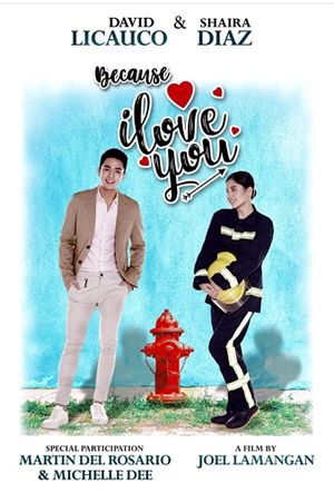 Because I Love You's poster