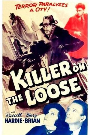 Killer at Large's poster