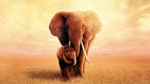 The Elephant Queen's poster