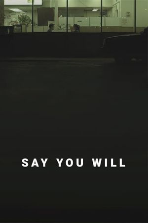 Say You Will's poster