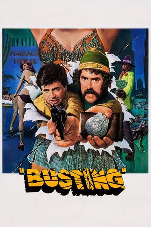 Busting's poster image