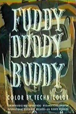 Fuddy Duddy Buddy's poster