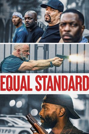 Equal Standard's poster