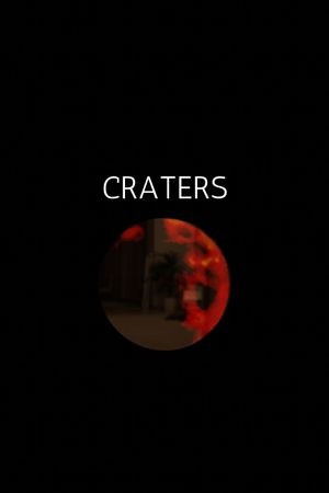 Craters / The House Is Empty's poster