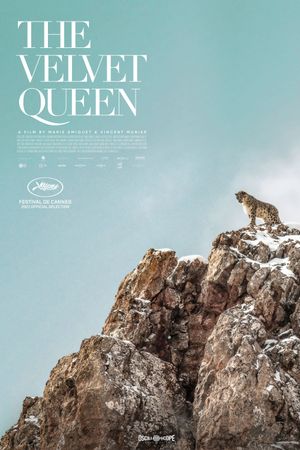 The Velvet Queen's poster