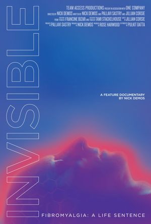 Invisible's poster