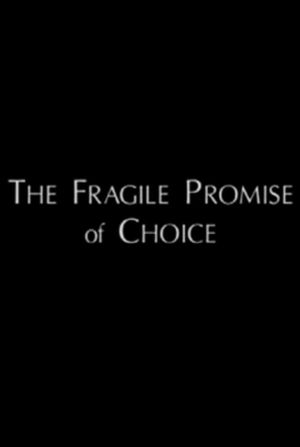 The Fragile Promise of Choice: Abortion in the United States Today's poster image