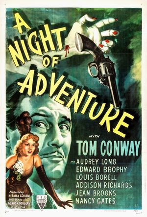 A Night of Adventure's poster