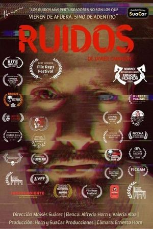 Ruidos's poster