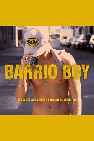 Barrio Boy's poster