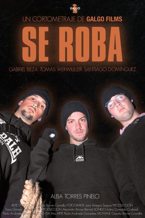 SE ROBA's poster