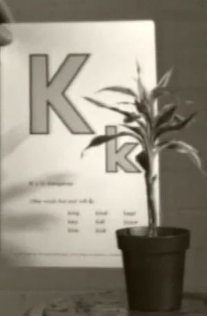 Teaching a Plant the Alphabet's poster