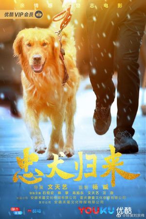 忠犬归来's poster