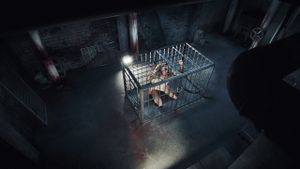 Pet's poster