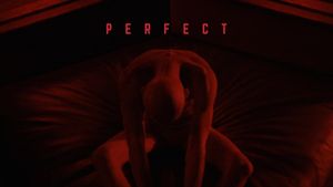 Perfect's poster