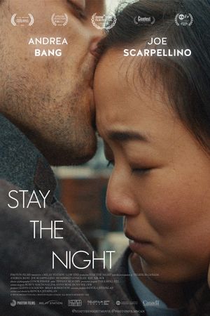 Stay the Night's poster