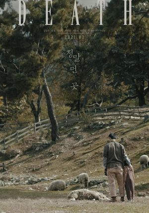 A Distant Place's poster