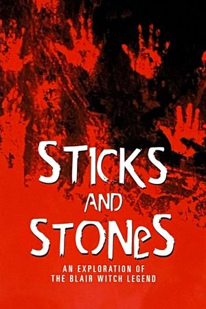 Sticks and Stones: Investigating the Blair Witch's poster