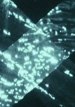 Light Trap's poster