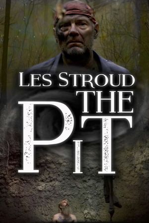 The Pit's poster