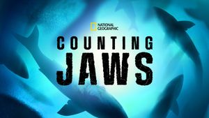 Counting Jaws's poster