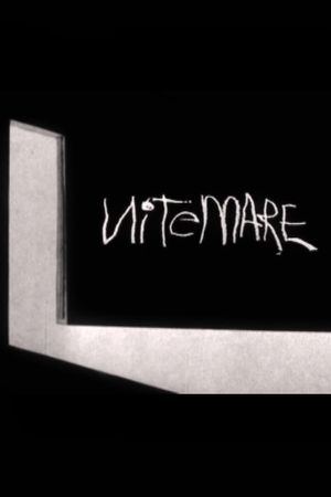 Nitemare's poster