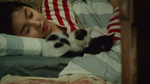 Cats on Park Avenue's poster