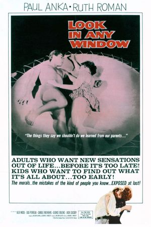Look in Any Window's poster
