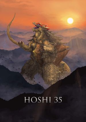 Hoshi 35's poster