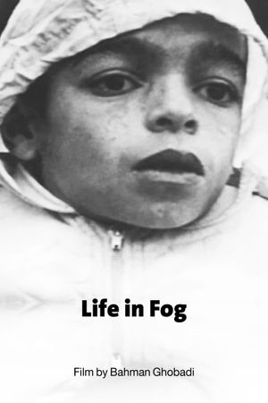 Life in Fog's poster