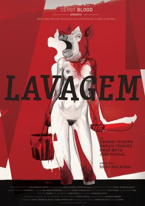 Lavagem's poster
