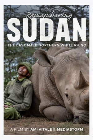 Remembering Sudan's poster