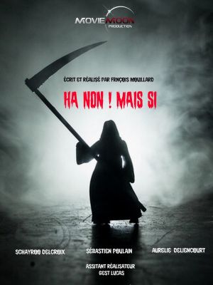 Ha non ! Mais si's poster